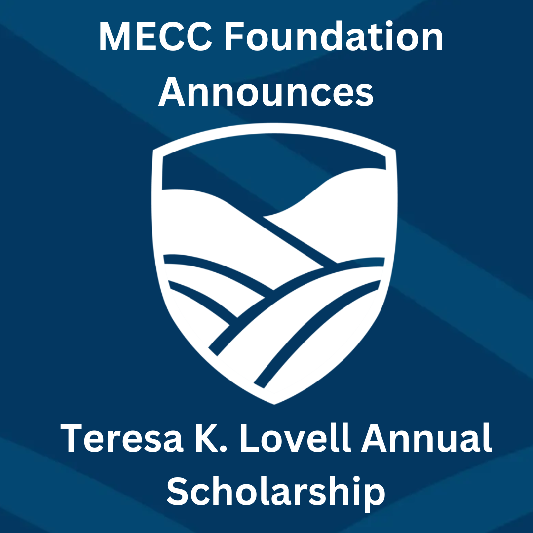 Teresa K. Lovell Annual Scholarship